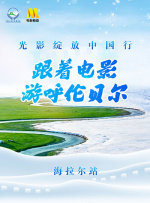金瓶悔扬思敏版在线观看